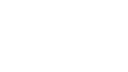 Orion
